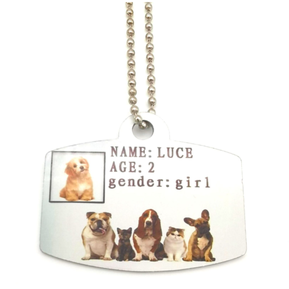 Customized Dog Tag | Colorful Puppy ID